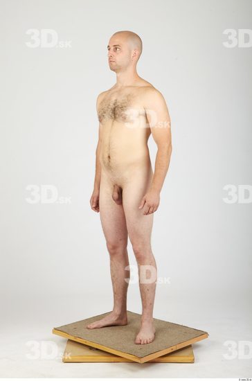 Whole Body Man Animation references Hairy Nude Casual Average Studio photo references