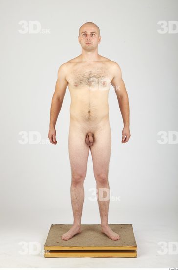 Whole Body Man Animation references Hairy Nude Casual Average Studio photo references