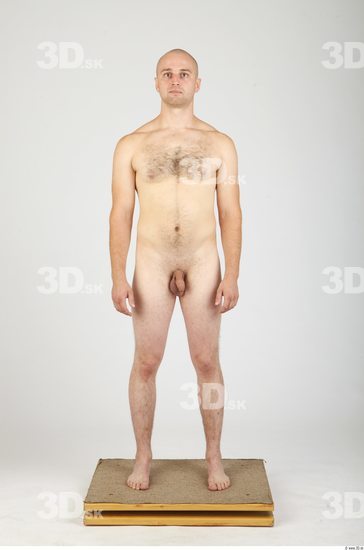 Whole Body Man Animation references Hairy Nude Casual Average Studio photo references