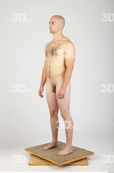 Whole Body Man Animation references Hairy Nude Casual Average Studio photo references