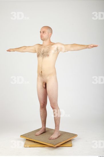 Whole Body Man T poses Hairy Nude Casual Average Studio photo references