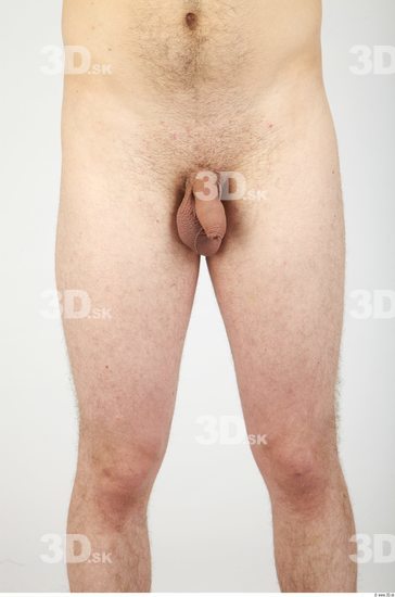 Thigh Whole Body Man Hairy Nude Casual Average Studio photo references