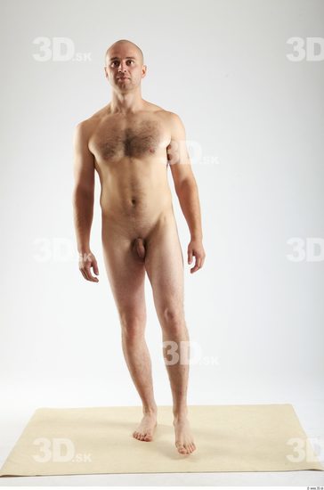 Whole Body Man Animation references White Hairy Nude Average