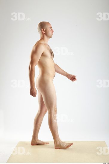Whole Body Man Animation references White Nude Average Bald