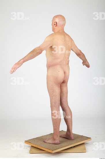 and more Whole Body Man Animation references Nude Formal Chubby Bald Studio photo references