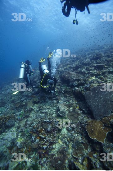 Underwater life