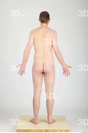 Whole Body Man Nude Casual Average Studio photo references