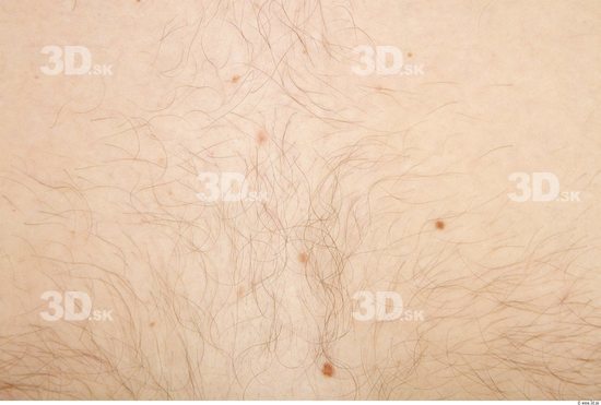 Whole Body Skin Man Hairy Nude Casual Chubby Studio photo references