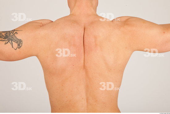 Whole Body Back Man Nude Casual Athletic Studio photo references