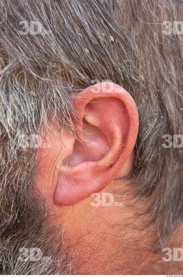 Ear Man White Average