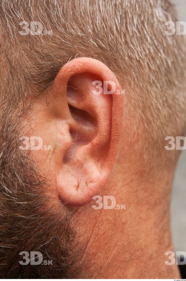 Ear Man White Average