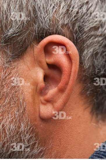 Ear Man White Average Wrinkles