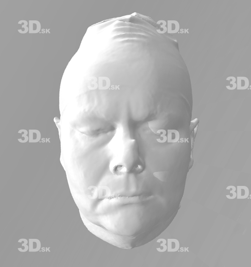 Head Woman White Average Wrinkles 3D Scans