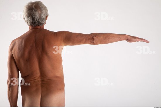 Arm Man Animation references White Nude Average Wrinkles