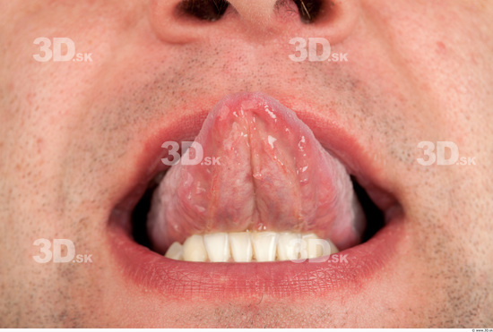 Whole Body Tongue Man Casual Average Studio photo references