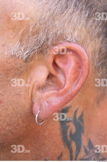 Ear Tattoo Casual Average Studio photo references