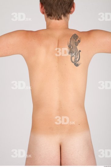 Whole Body Back Man Tattoo Nude Casual Average Studio photo references