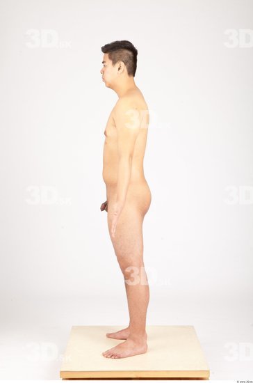 Whole Body Man Animation references Asian Nude Average Studio photo references