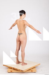 Body reference 0014
