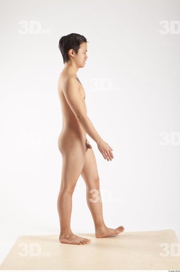 Whole Body Man Animation references Asian Nude Casual Slim Studio photo references