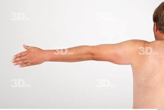 Arm Nude Studio photo references