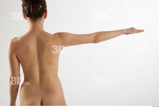 Arm Woman Animation references White Nude Slim