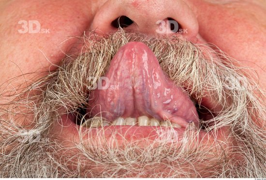 Tongue Man Bearded Studio photo references