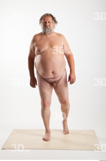 Whole Body Man Animation references White Nude Overweight Bearded