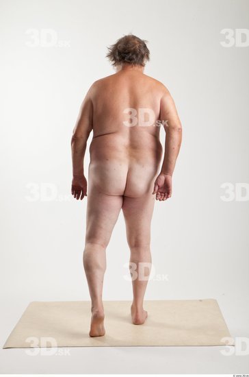 Whole Body Man Animation references White Nude Overweight Bearded