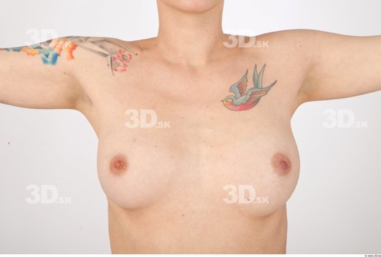 Breast Woman Tattoo Nude Slim Studio photo references