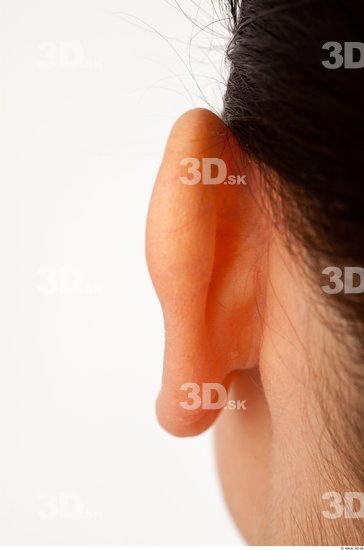 Ear Average Studio photo references