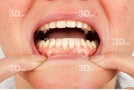 Teeth Average Studio photo references