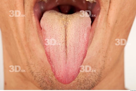 Tongue Athletic Studio photo references