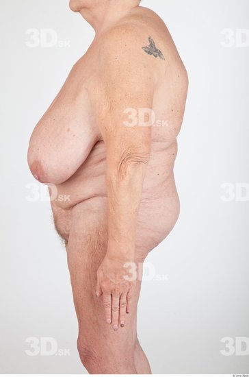 Arm Nude Overweight Wrinkles Studio photo references