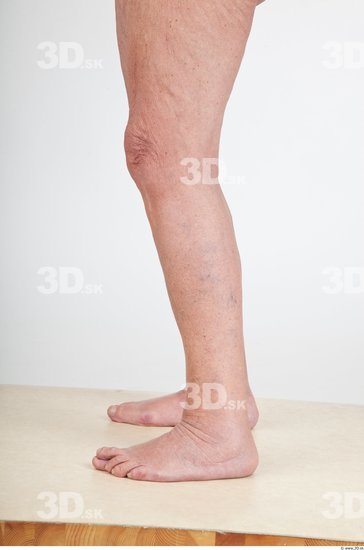 Calf Nude Overweight Studio photo references