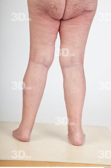 Calf Nude Overweight Studio photo references