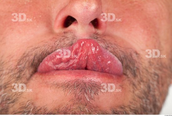 Tongue Bearded Studio photo references