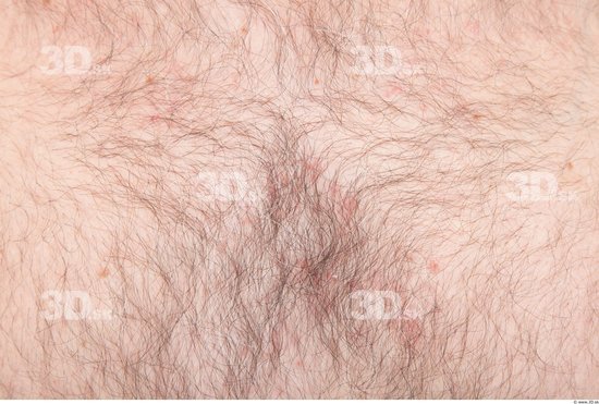 Skin Hairy Nude Studio photo references