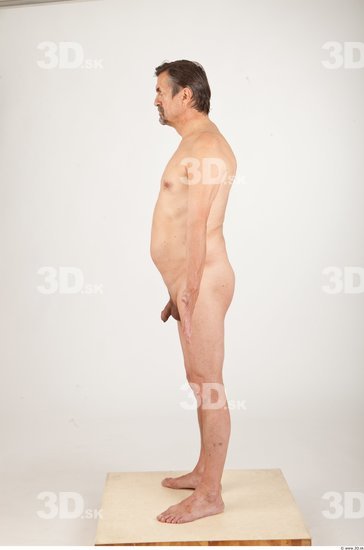 Whole Body Animation references Nude Average Studio photo references