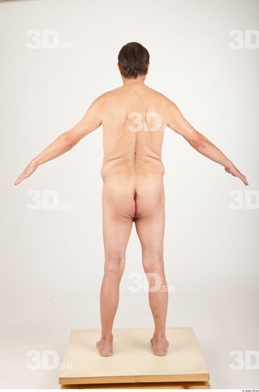 Whole Body Animation references Nude Average Studio photo references