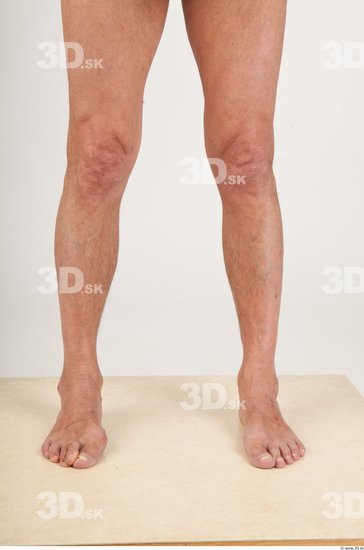 Calf Nude Average Studio photo references