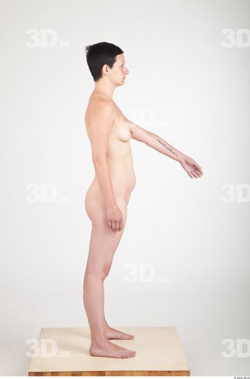 Whole Body Woman Animation references Nude Slim Studio photo references