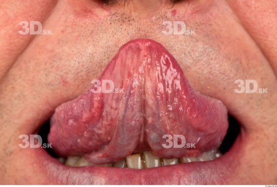 Tongue Man Average Studio photo references