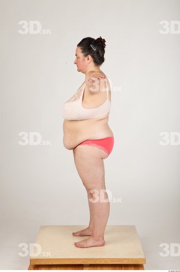 Whole Body Back Woman T poses Underwear Muscular Overweight Studio photo references