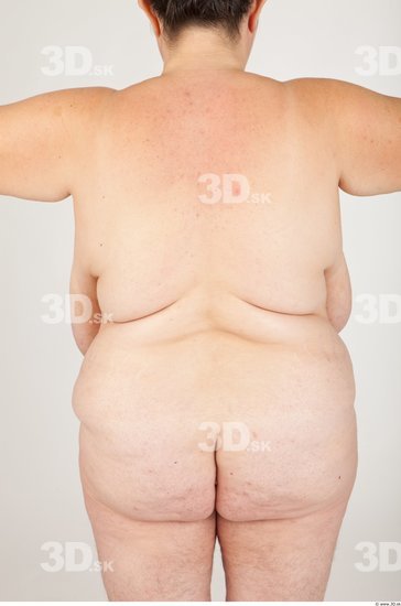 Back Woman Nude Overweight Studio photo references