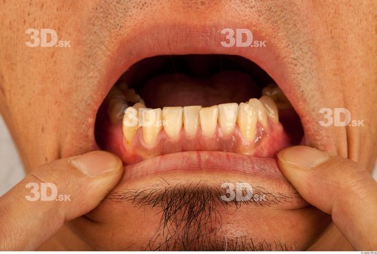 Teeth Man Asian Average Studio photo references