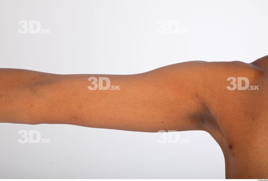 Arm reference of nude Cecelia