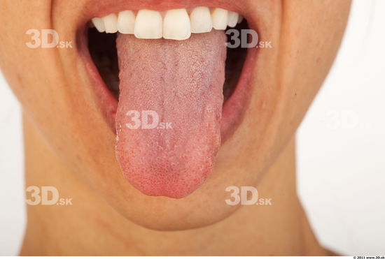 Tongue of Rebecca