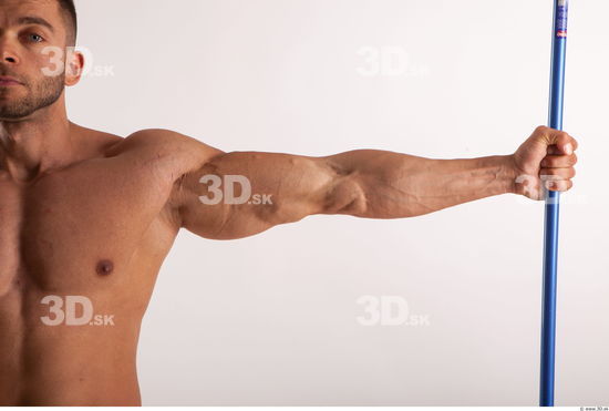 Arm muscles anatomy reference of bodybuilder Harold