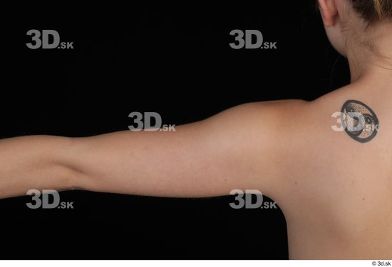 Arm Woman Nude Slim Studio photo references